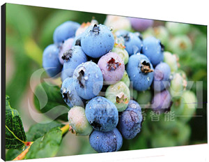 液晶拼接屏出現(xiàn)色差應該如何維修？